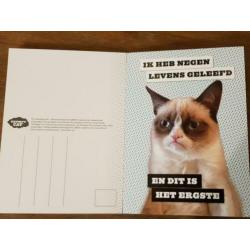 Grumpy Cat levensgids en ansichtkaarten