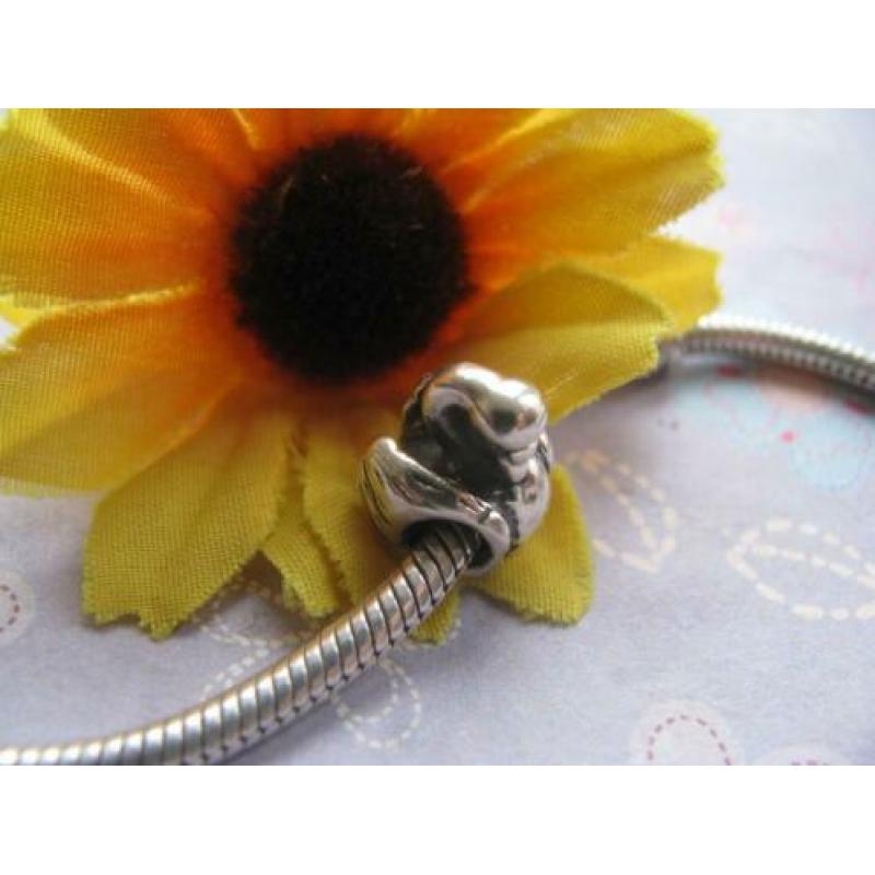 Pandora bedel P189 = 10 euro = zwaan kleef aan !