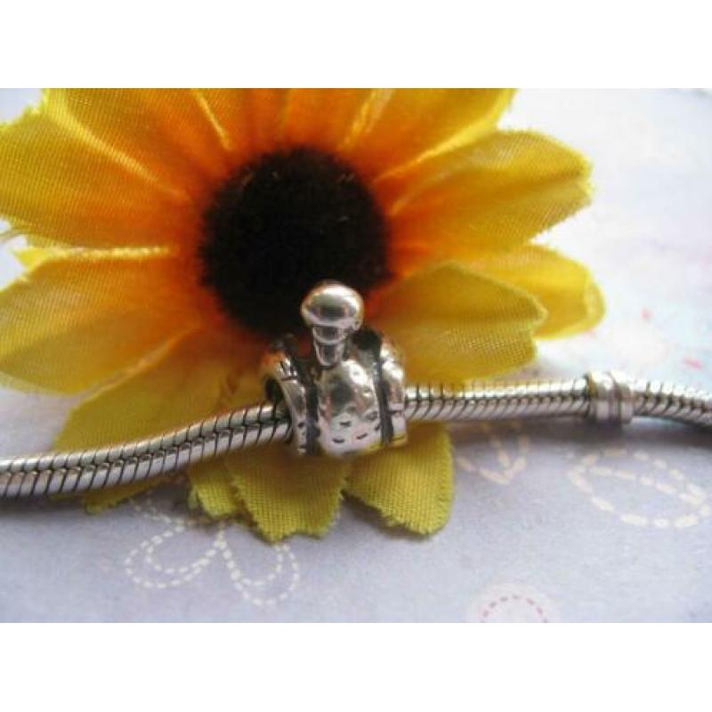 Pandora bedel P189 = 10 euro = zwaan kleef aan !