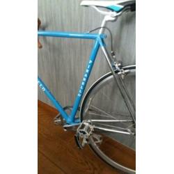Super mooie Pinarello single speed