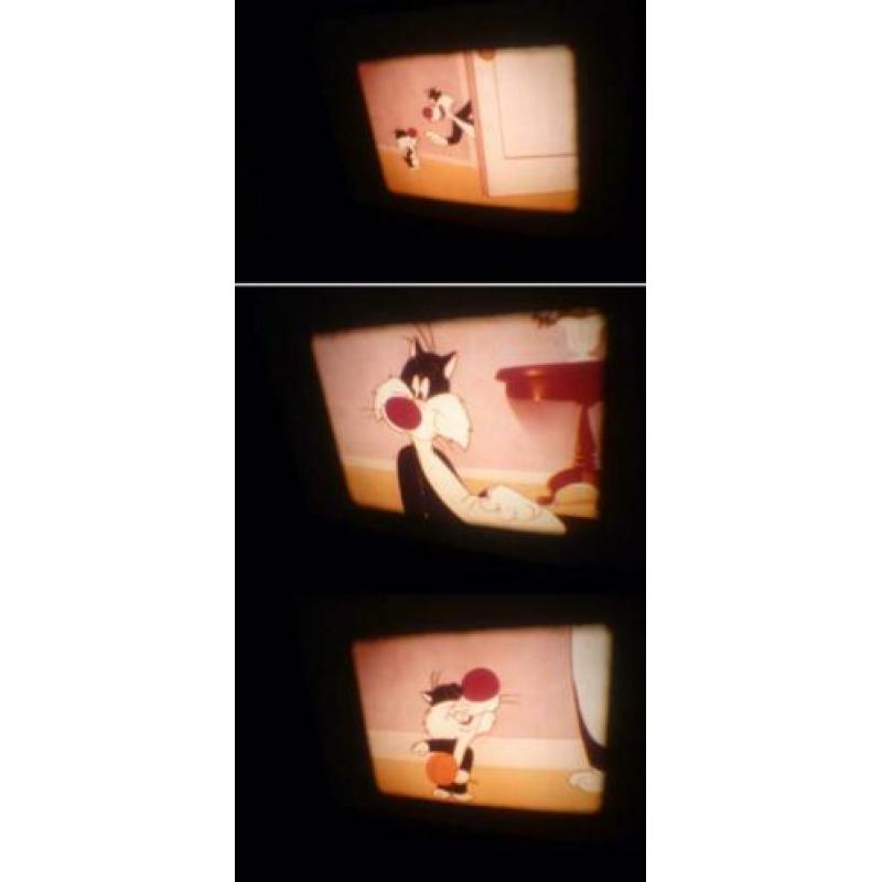 x 8mm film Sylvester Who's Kitten Who - kleur - silent 60mtr