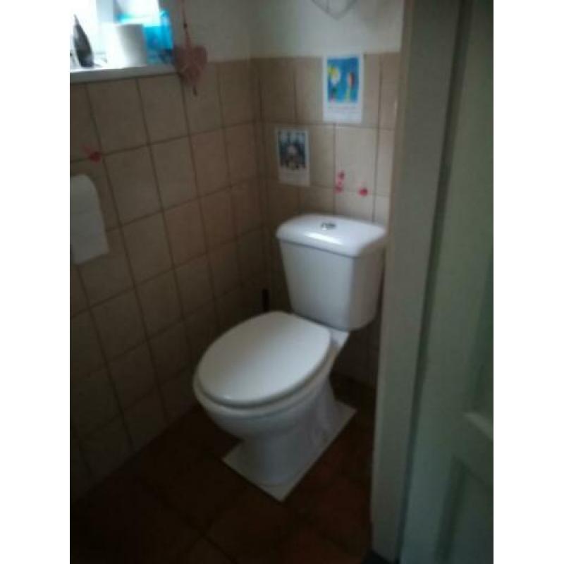 Toilet pot met bril.