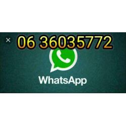 Bactoplus Filter Start gel