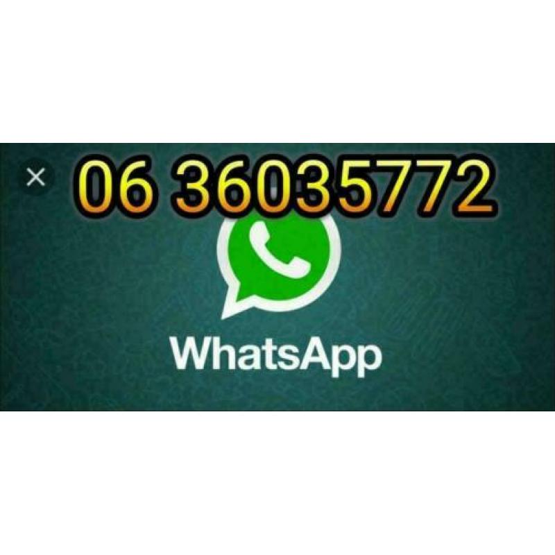 Bactoplus Filter Start gel