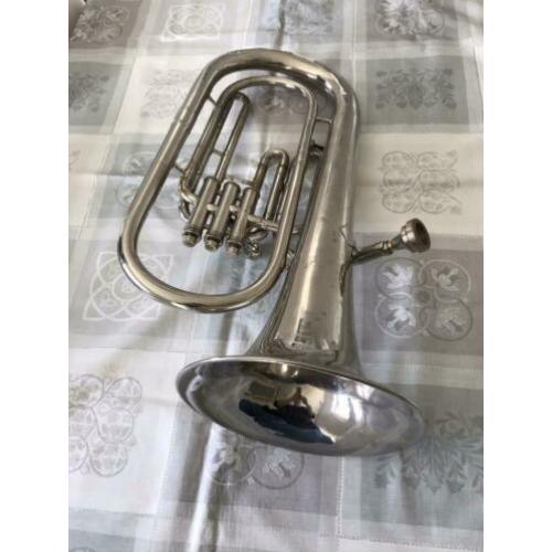 Tenor Hoorn (bariton)
