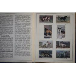Plaatjes album- Honden in woord en beeld- K. Kuiper- 1930