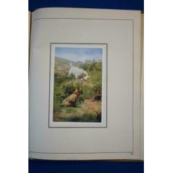 Plaatjes album- Honden in woord en beeld- K. Kuiper- 1930