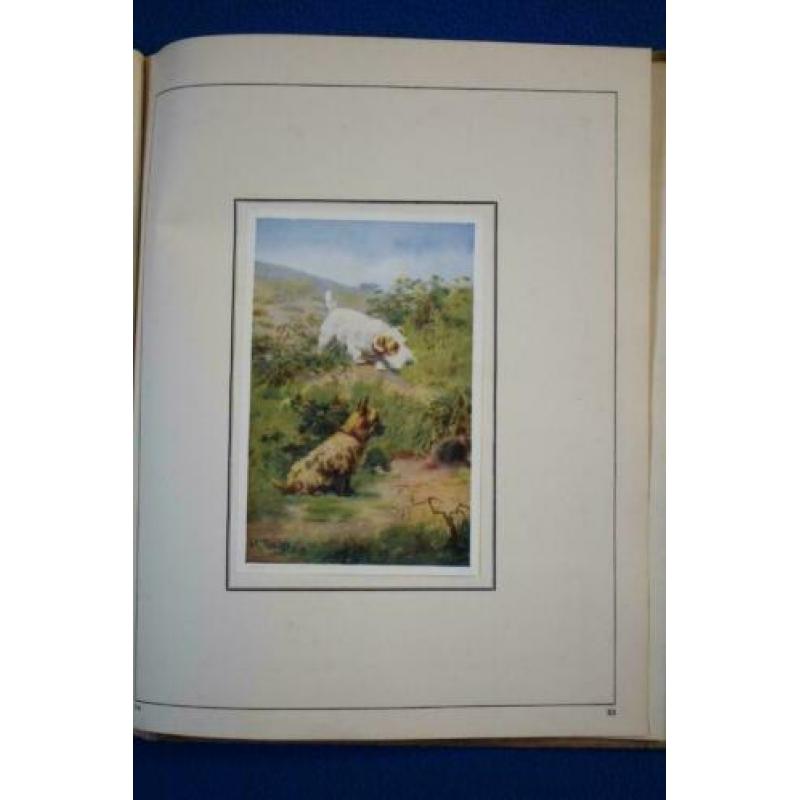 Plaatjes album- Honden in woord en beeld- K. Kuiper- 1930
