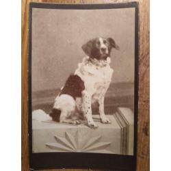 Kabinetfoto Atelier J.W. Wentzel Amersfoort