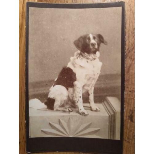 Kabinetfoto Atelier J.W. Wentzel Amersfoort