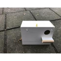 Nest gouldamadine