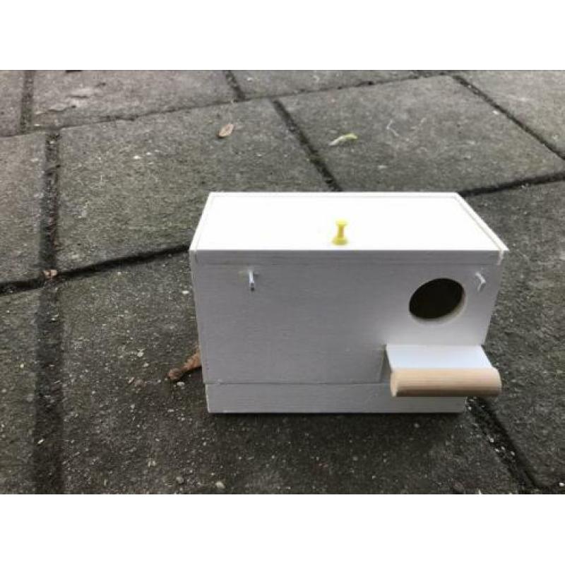 Nest gouldamadine