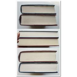 2x Fantasy Lemniscaat 858-2: Arthur de Caldicot - Zienerstee