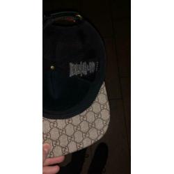 Gucci pet