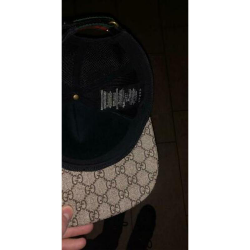 Gucci pet