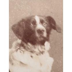 Kabinetfoto Atelier J.W. Wentzel Amersfoort