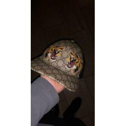 Gucci pet