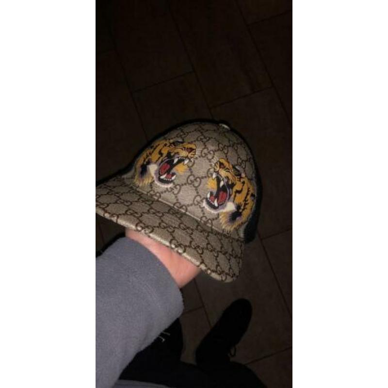 Gucci pet