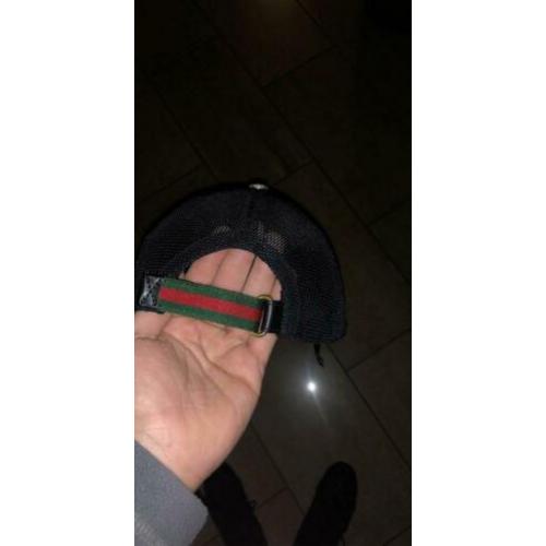Gucci pet