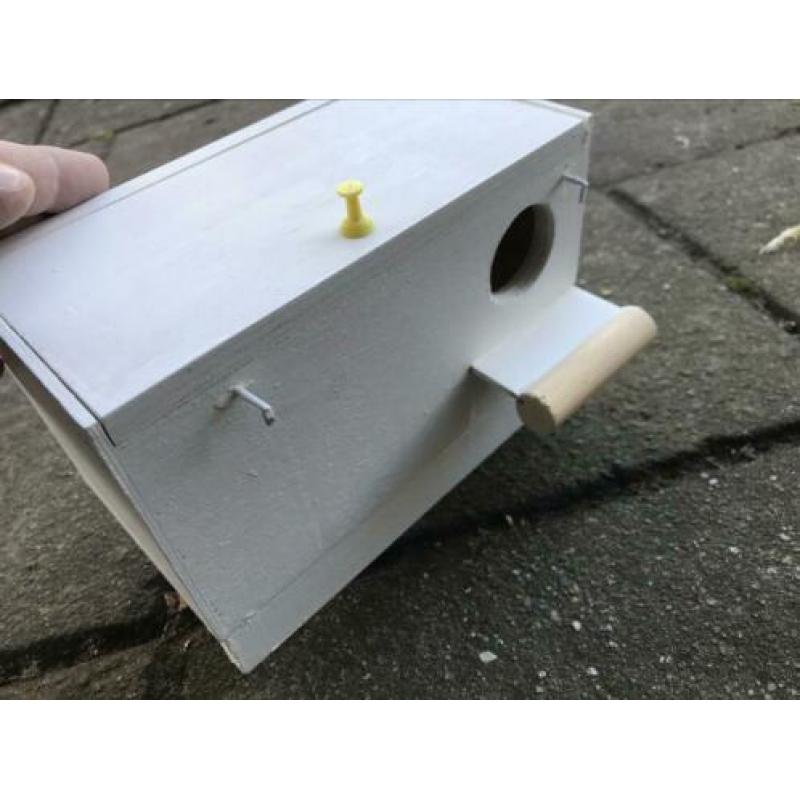 Nest gouldamadine