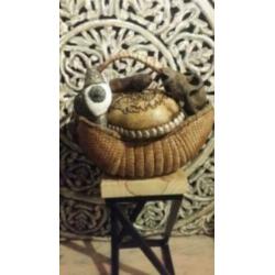 Opgezet Armadillo * Brocante * Curiosa *Jaren 20 * PTMD Loft