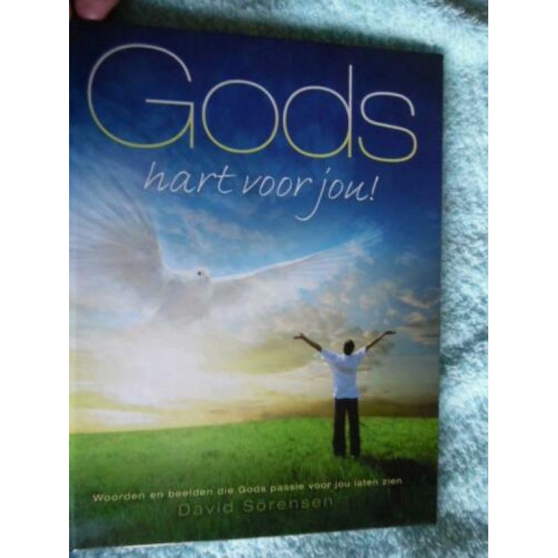 Gods hart voor jou, David Sorensen