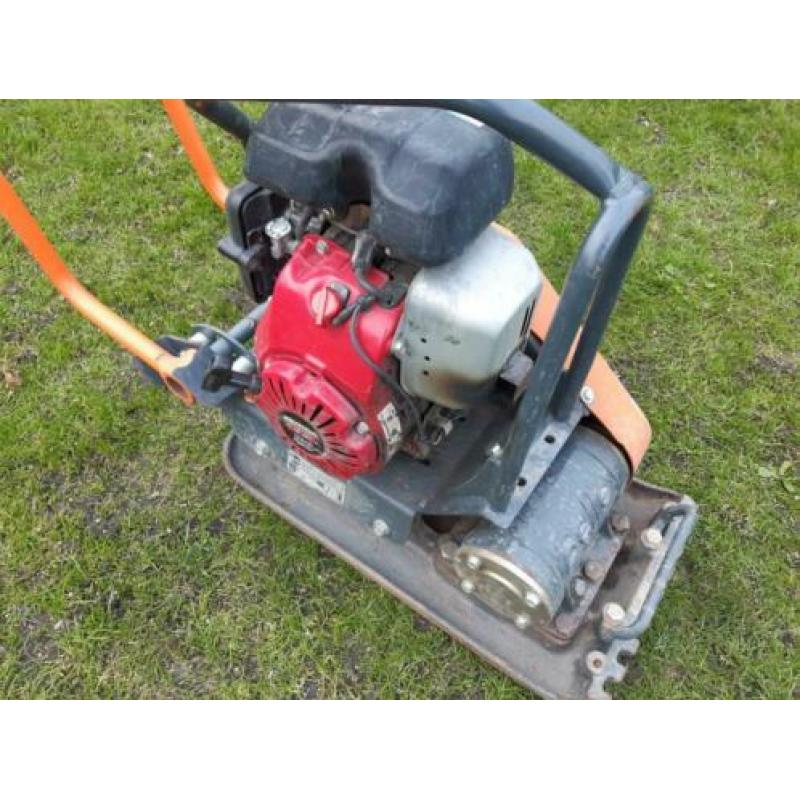 Te huur: Compacte Belle trilplaat