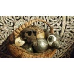 Opgezet Armadillo * Brocante * Curiosa *Jaren 20 * PTMD Loft