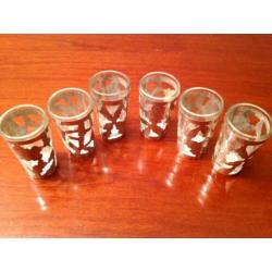 Tequila / shot glazen met zilveren houder 6x