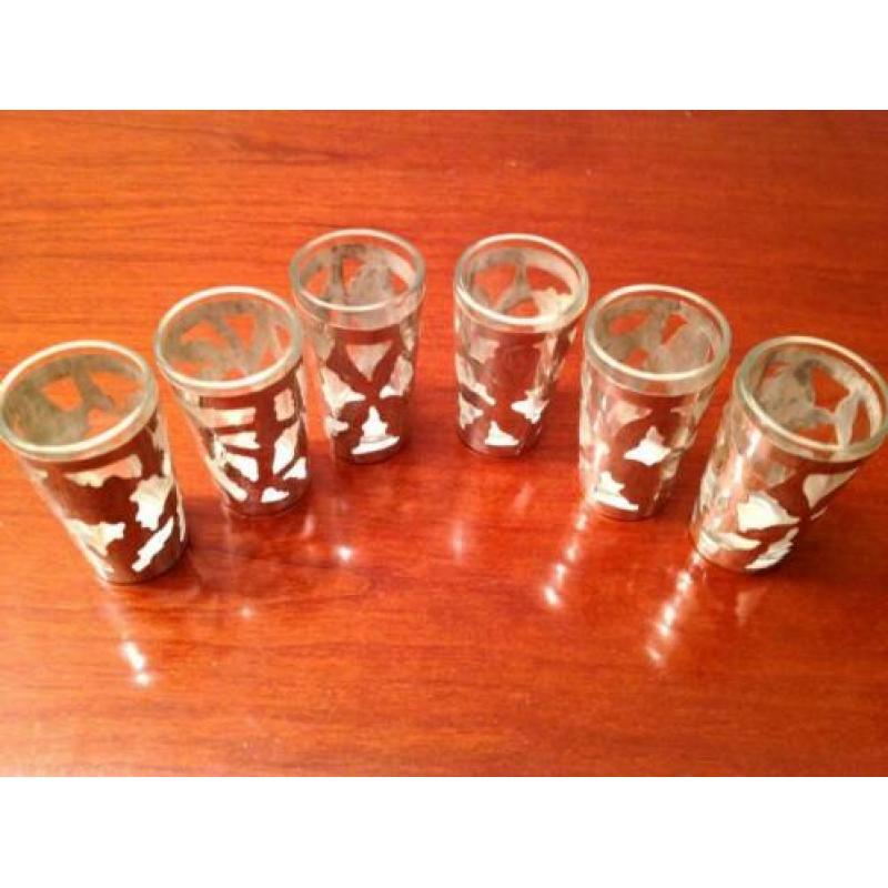 Tequila / shot glazen met zilveren houder 6x