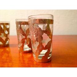 Tequila / shot glazen met zilveren houder 6x