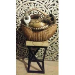 Opgezet Armadillo * Brocante * Curiosa *Jaren 20 * PTMD Loft
