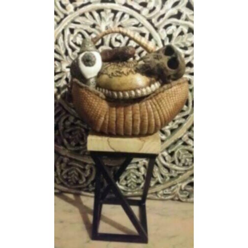 Opgezet Armadillo * Brocante * Curiosa *Jaren 20 * PTMD Loft