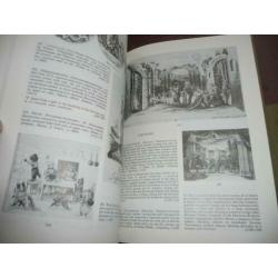 The van Veen collection of children’s books and juvenilia (1