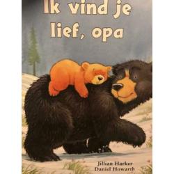 Ik vind je lief mama super lief kinderboek over beren boek