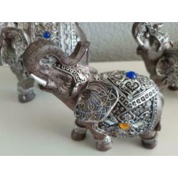 3 x Olifant belden