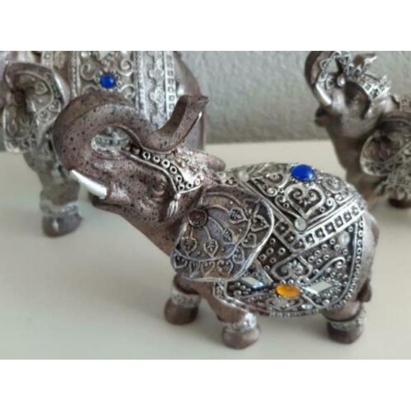 3 x Olifant belden