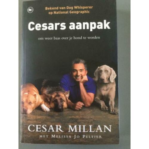 Cesars aanpak van Cesar Millan