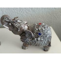 3 x Olifant belden