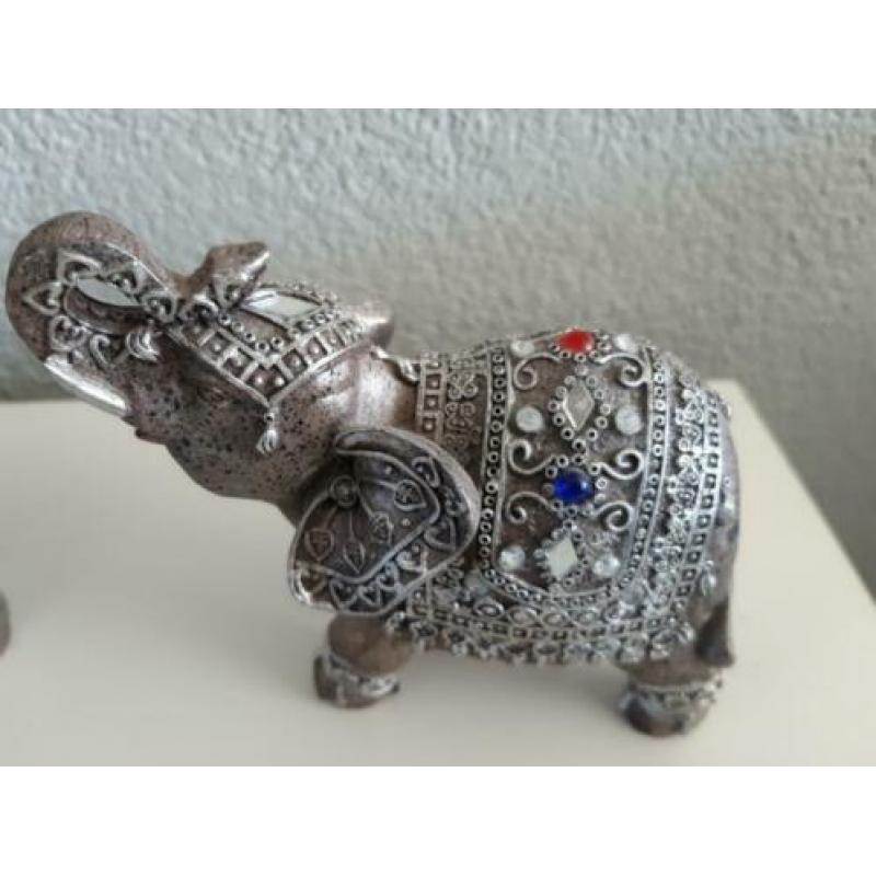 3 x Olifant belden