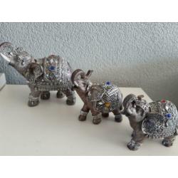 3 x Olifant belden