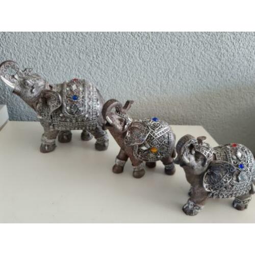 3 x Olifant belden