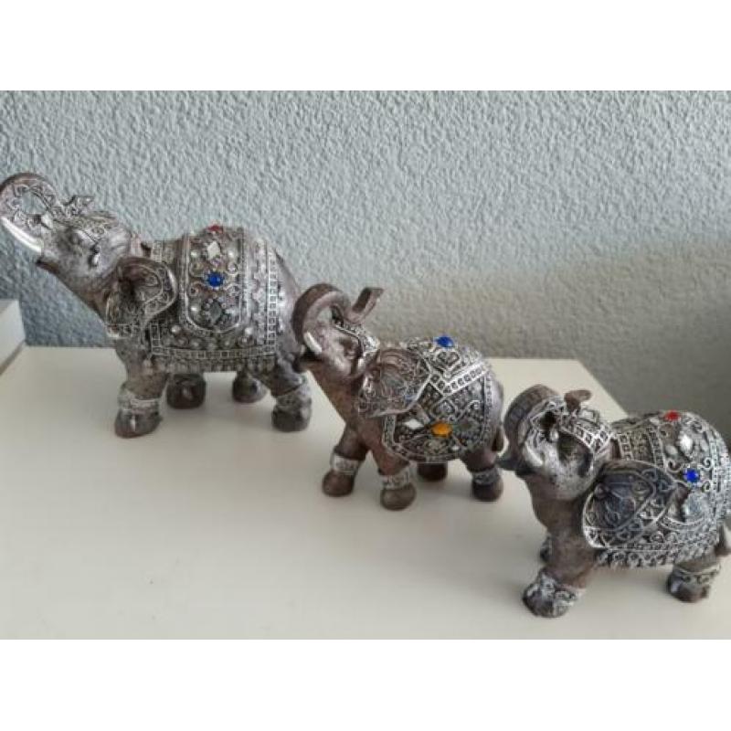 3 x Olifant belden