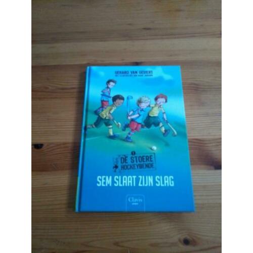 Boek: Sem slaat zijn slag