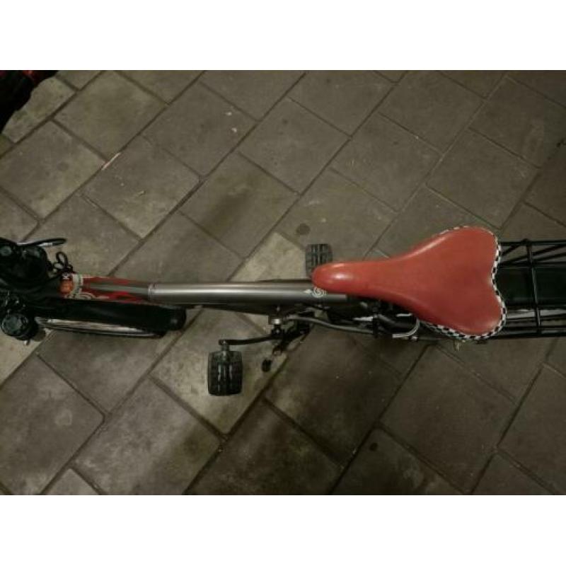 Batavus Snake 24 inch