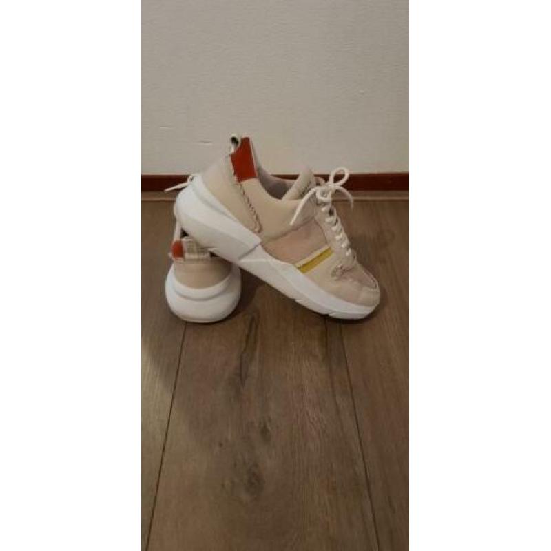 Nubbik maat 40