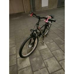 Batavus Snake 24 inch