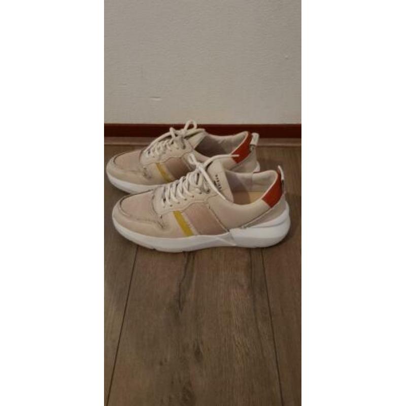 Nubbik maat 40