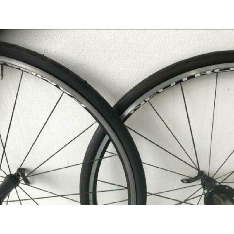 Campagnolo Neutron Ultra wielset