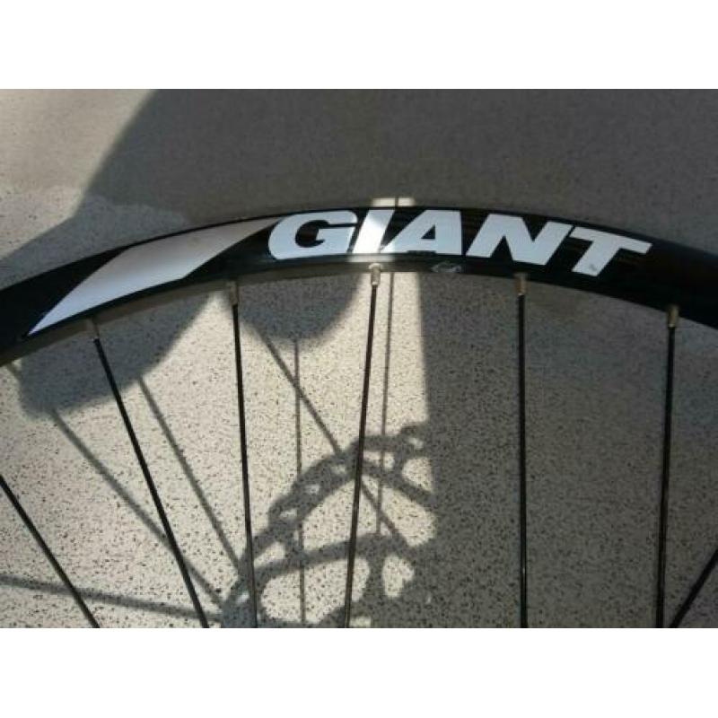 29er Giant wielen. In zeer goede staat.